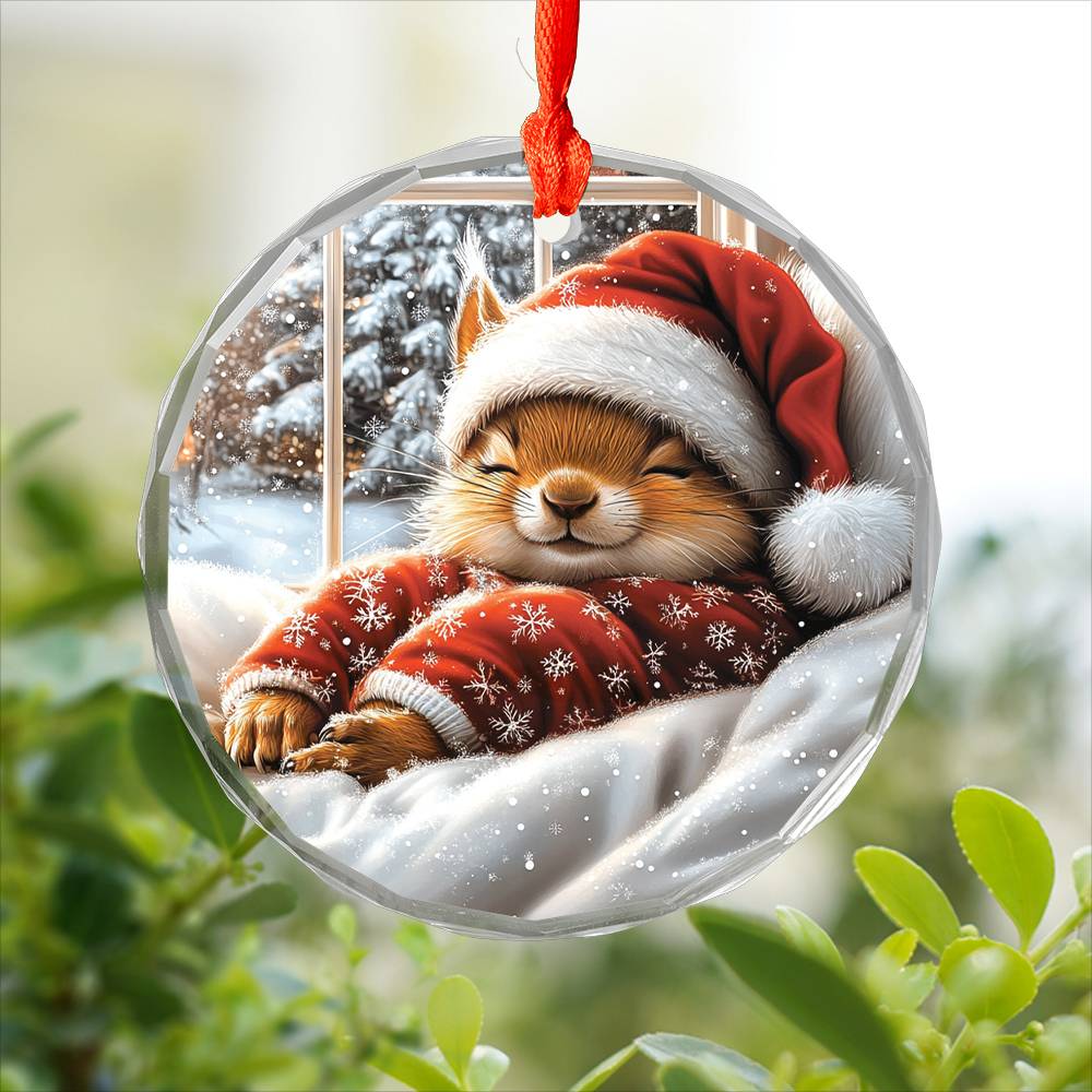 Squirrel Sleeping In Bed Design 3