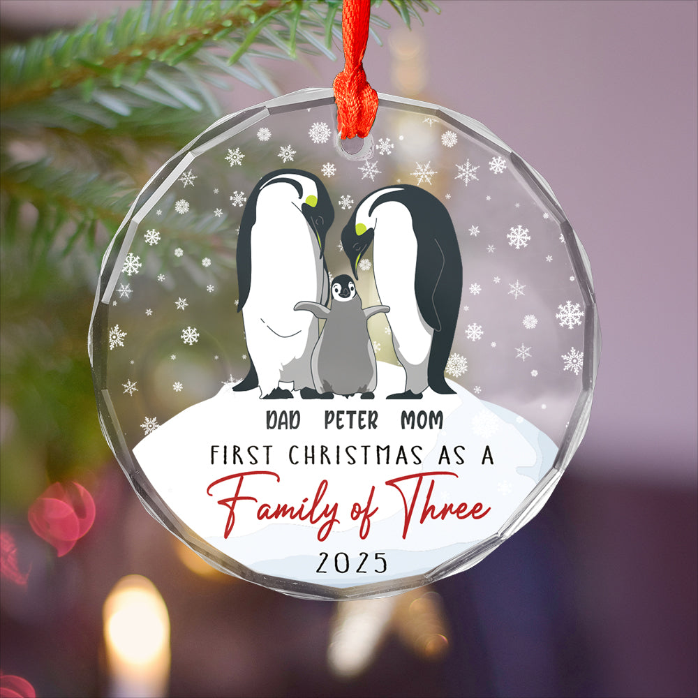 Custom Couple First Christmas