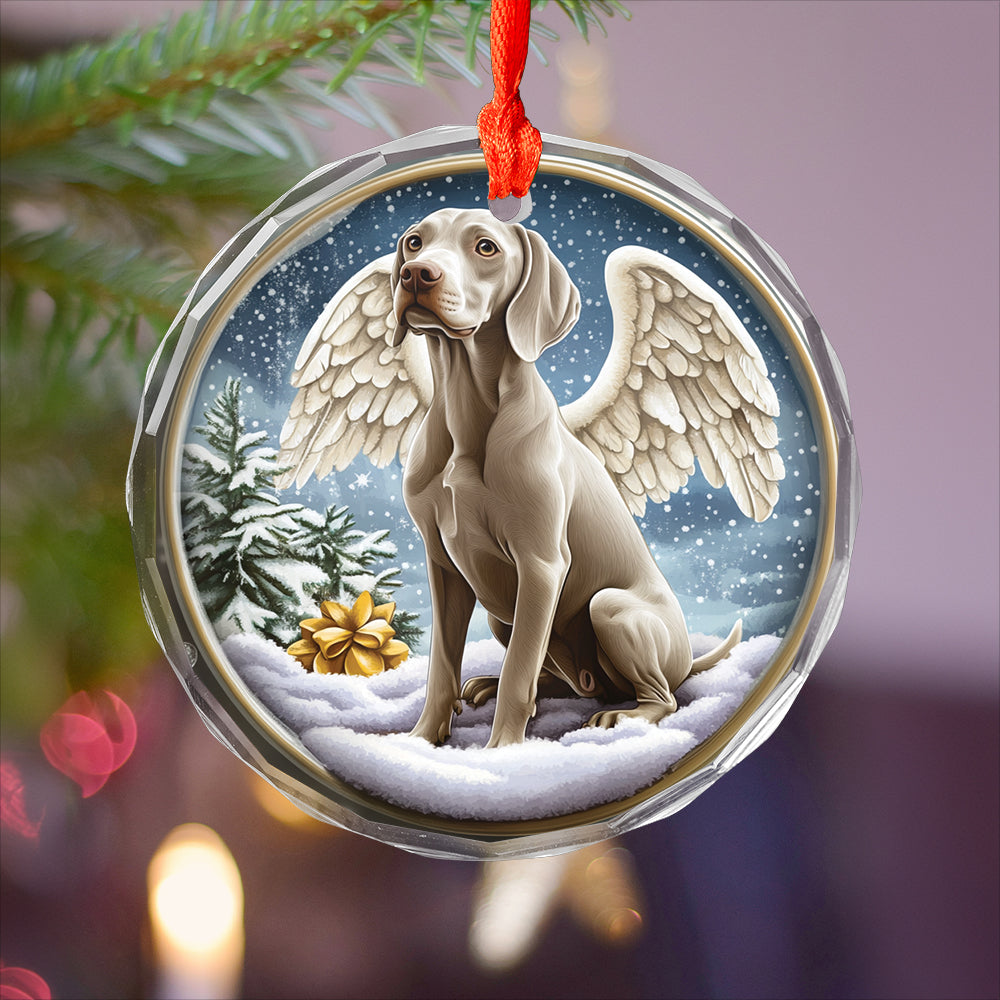Angel Weimaraner Dog 1
