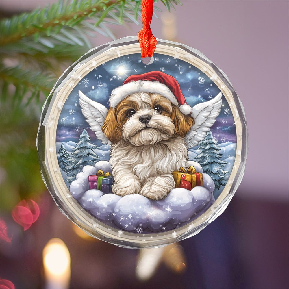 Angel Shih Tzu Dog 3