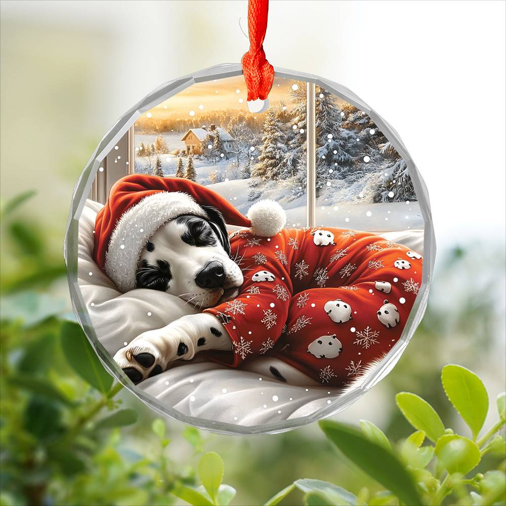 Dalmatian Dog Sleeping In Bed Design 1