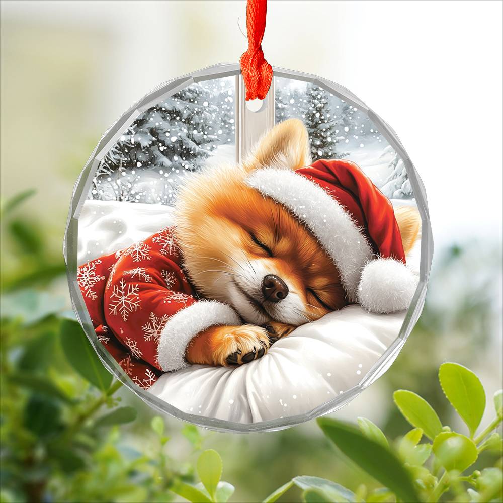 Pomeranian Dog Sleeping In Bed Design 2