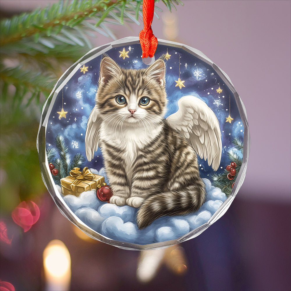 Angel American Shorthair Cat 2