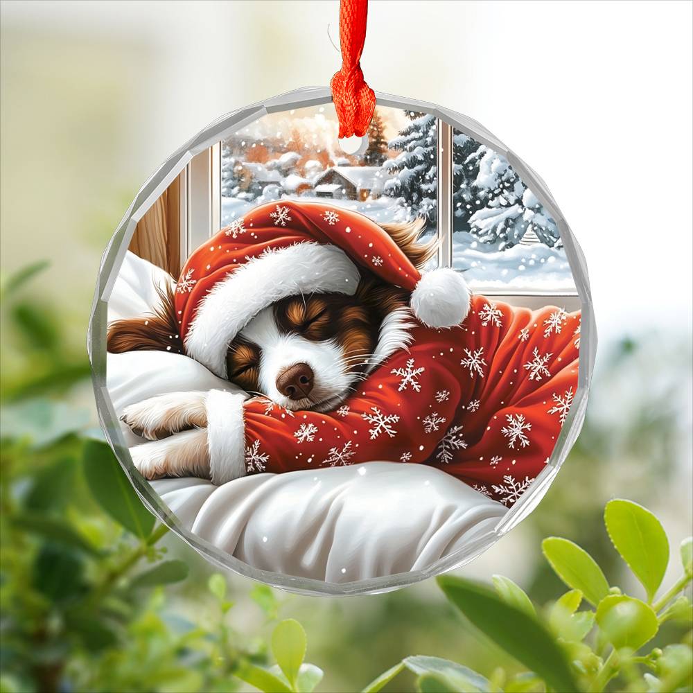Border Collie Dog Sleeping In Bed Design 2