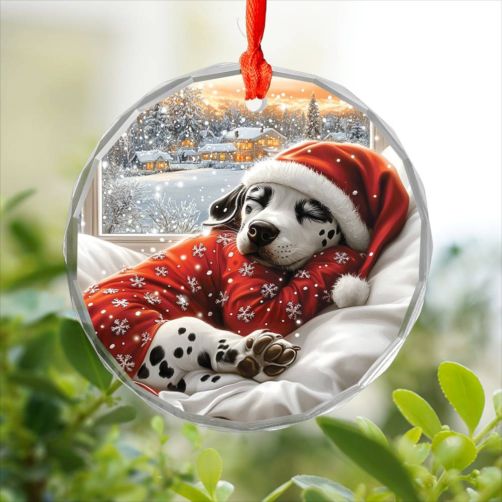 Dalmatian Dog Sleeping In Bed Design 2