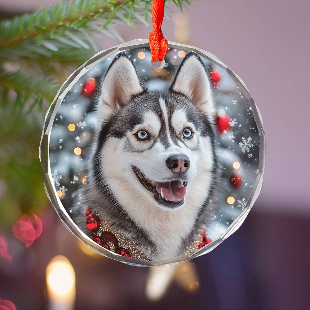 Beautiful Angus Huskie Dog Christmas Night Design 3 Glass Ornament