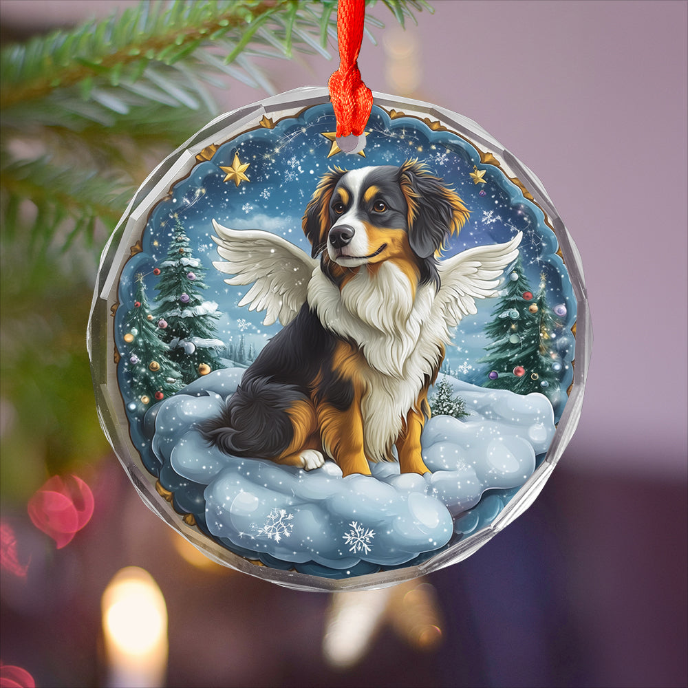 Angel Australian Shepherd Dog 1