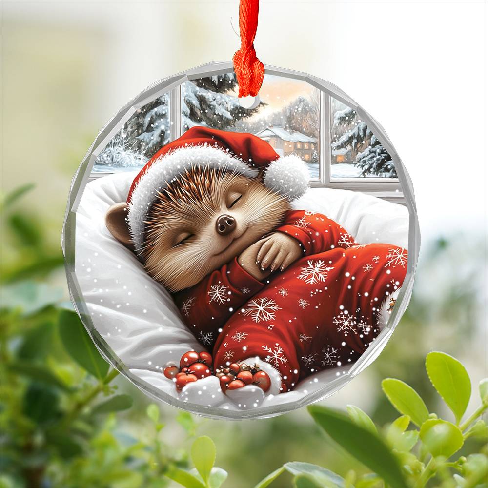 Hedgehog Sleeping In Bed Design 1