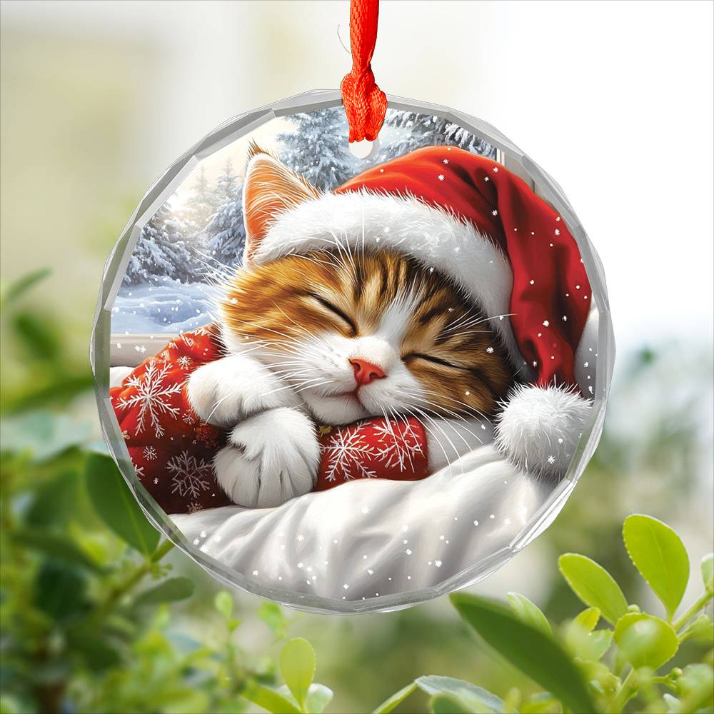 Persian cat Sleeping In Bed Design 3