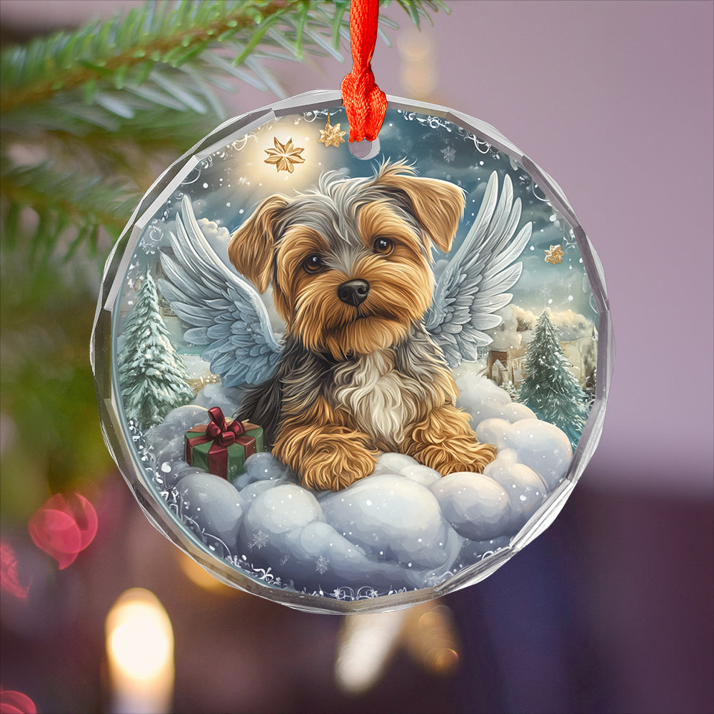 Angel Yorkshire Terrier Dog 1