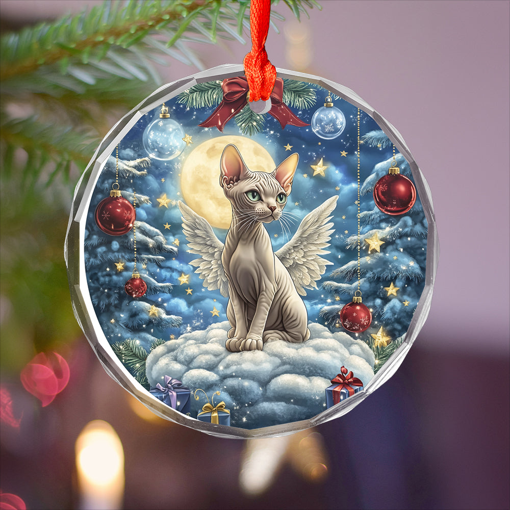 Angel Sphynx Cat 3
