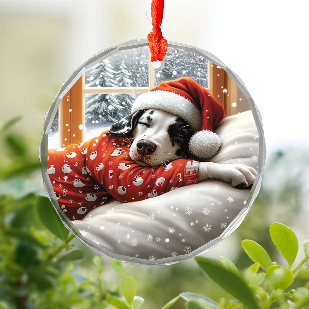 Dalmatian Dog Sleeping In Bed Design 4