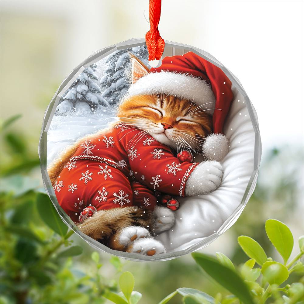 Persian cat Sleeping In Bed Design 2