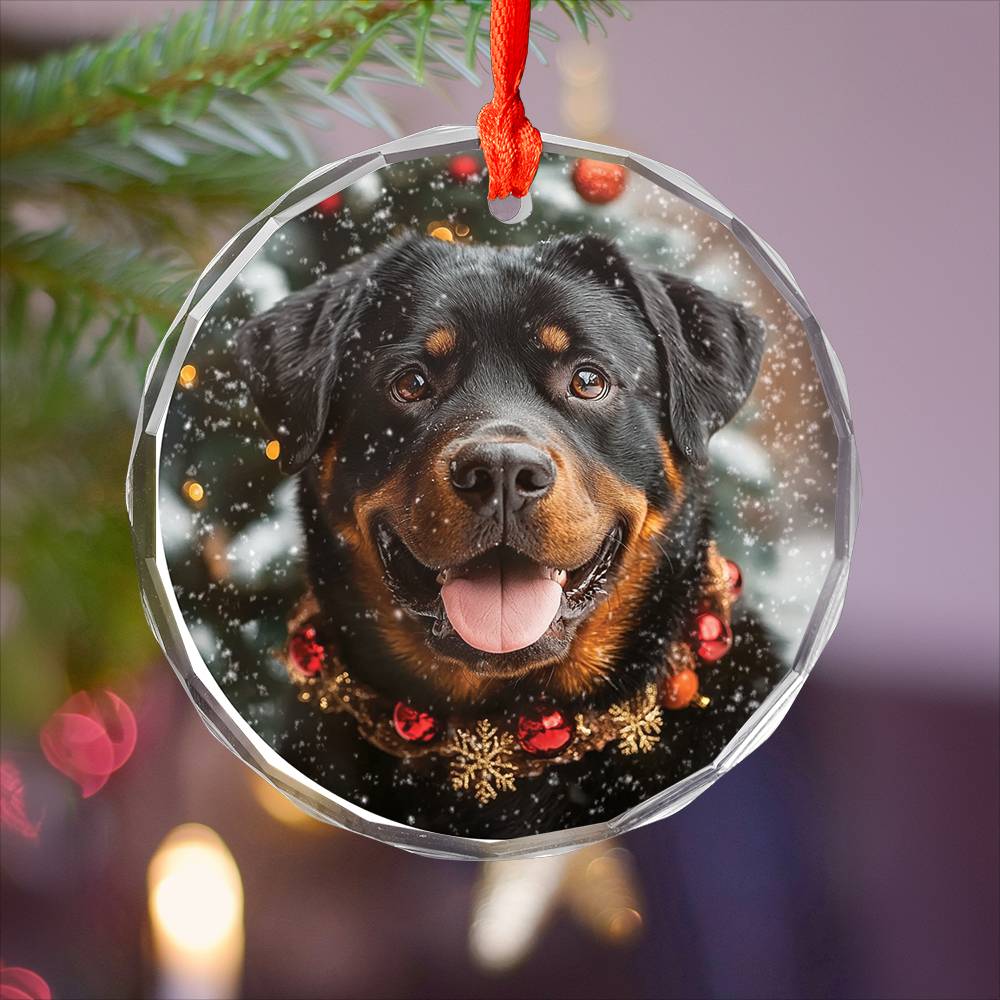 Beautiful Angus Rottweiler Dog Christmas Night Design 2 Glass Ornament
