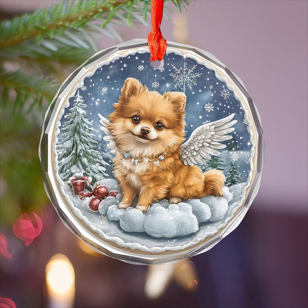 Angel Pomeranian Dog 3