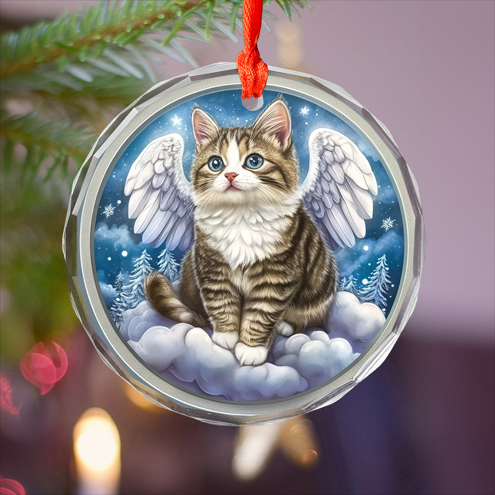 Angel American Shorthair Cat 1
