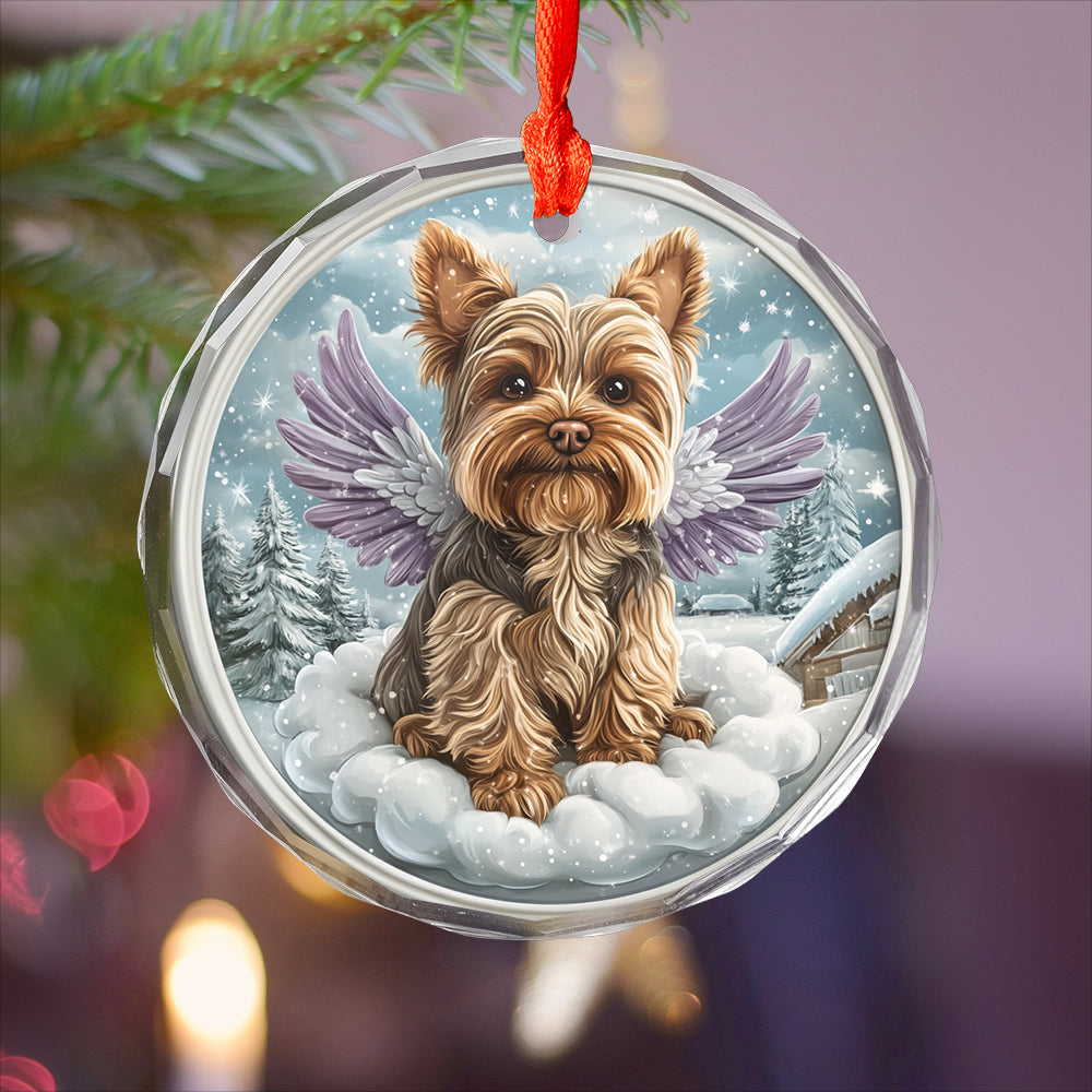 Angel Yorkshire Terrier Dog 2