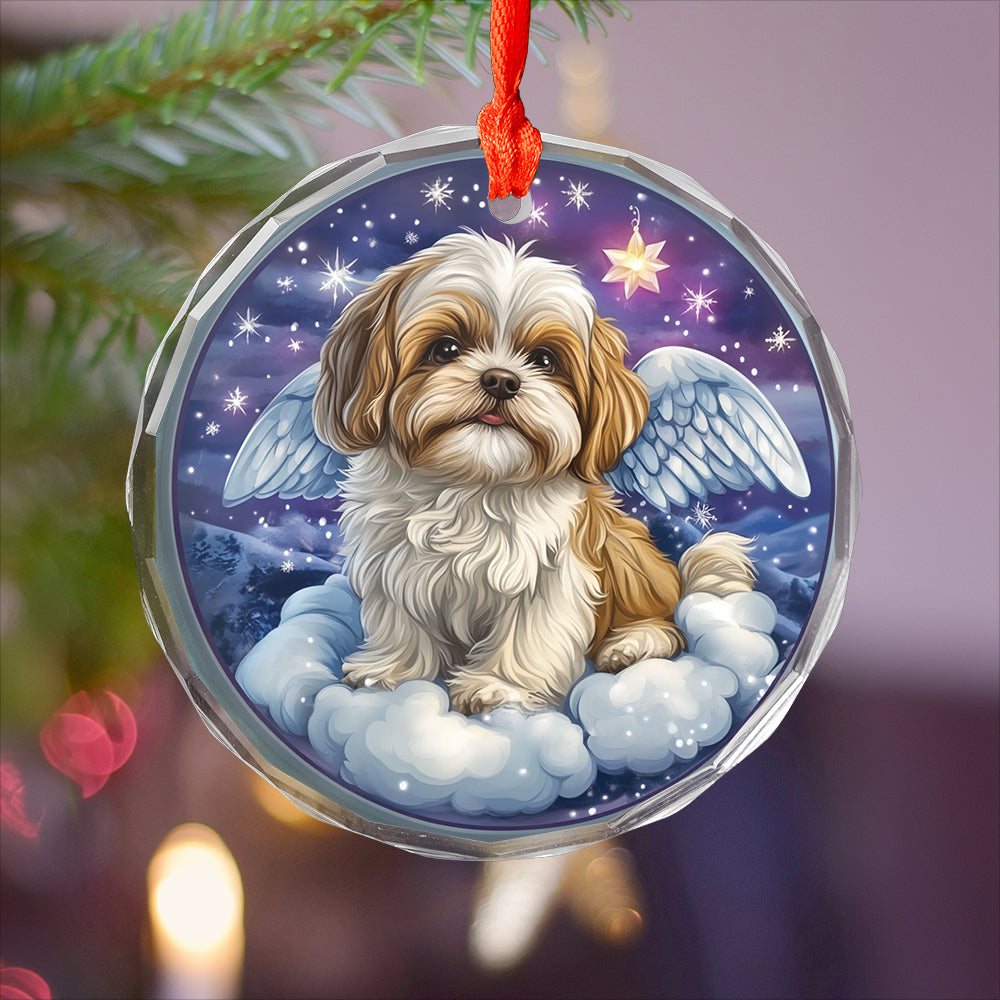 Angel Shih Tzu Dog 4