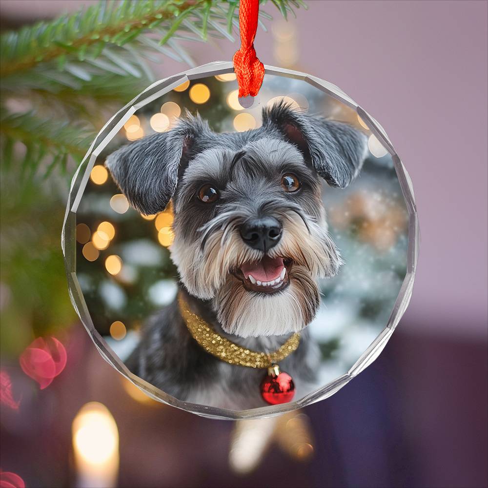 Beautiful Angus Miniature Schnauzer Dog Christmas Night Design 2 Glass Ornament