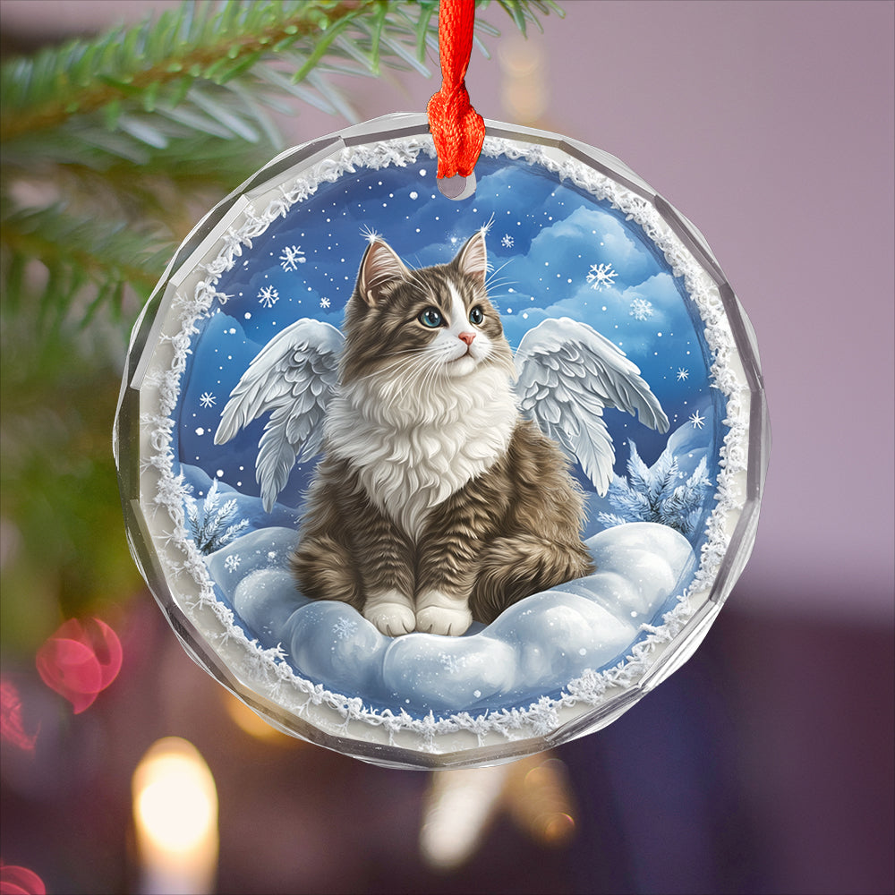 Angel Norwegian Forest Cat 4