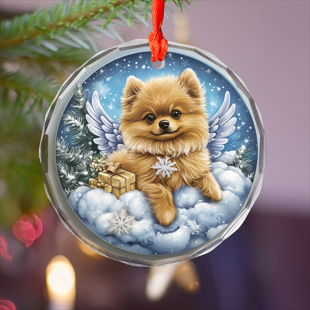 Angel Pomeranian Dog 1