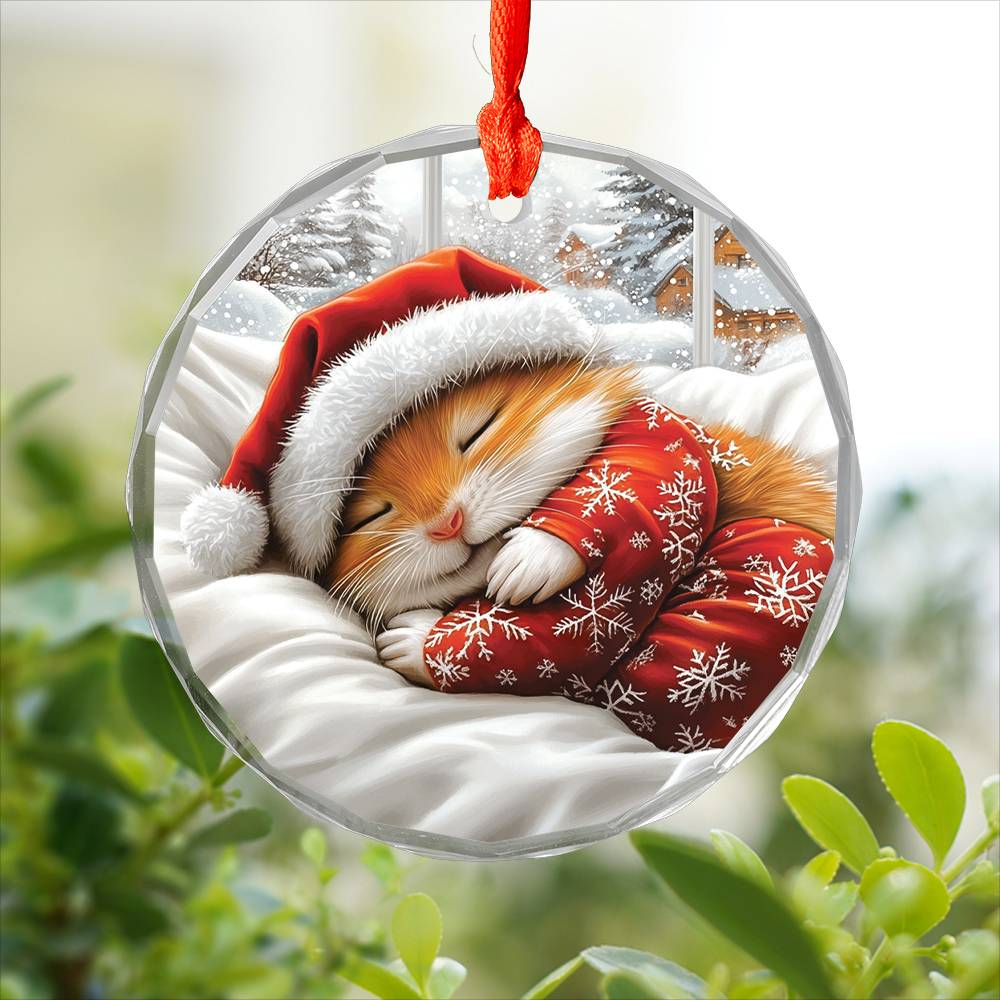 Hamster Sleeping In Bed Design 4