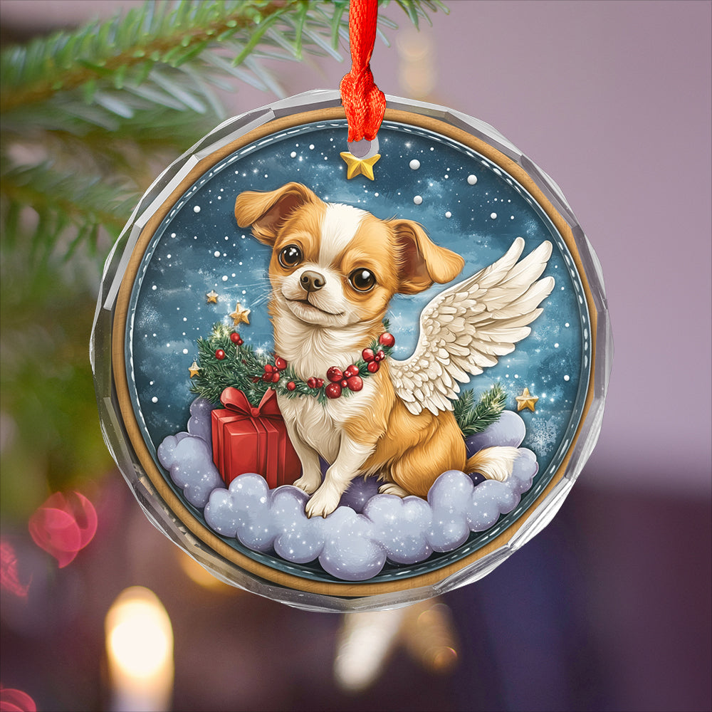 Angel Chihuahua Dog 1