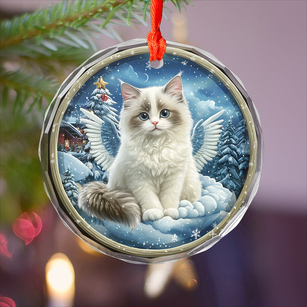 Angel Ragdoll Cat 3