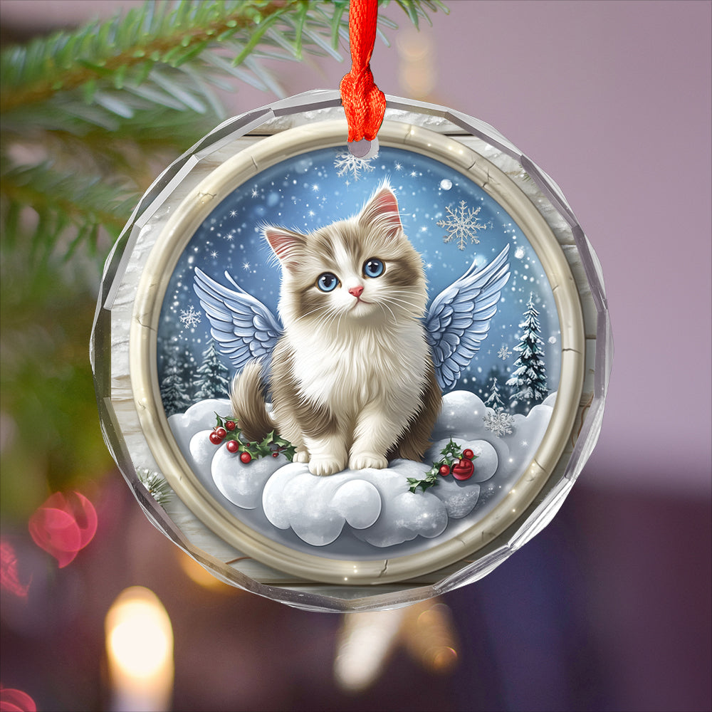 Angel Ragdoll Cat 2