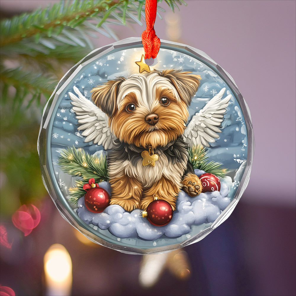 Angel Yorkshire Terrier Dog 3