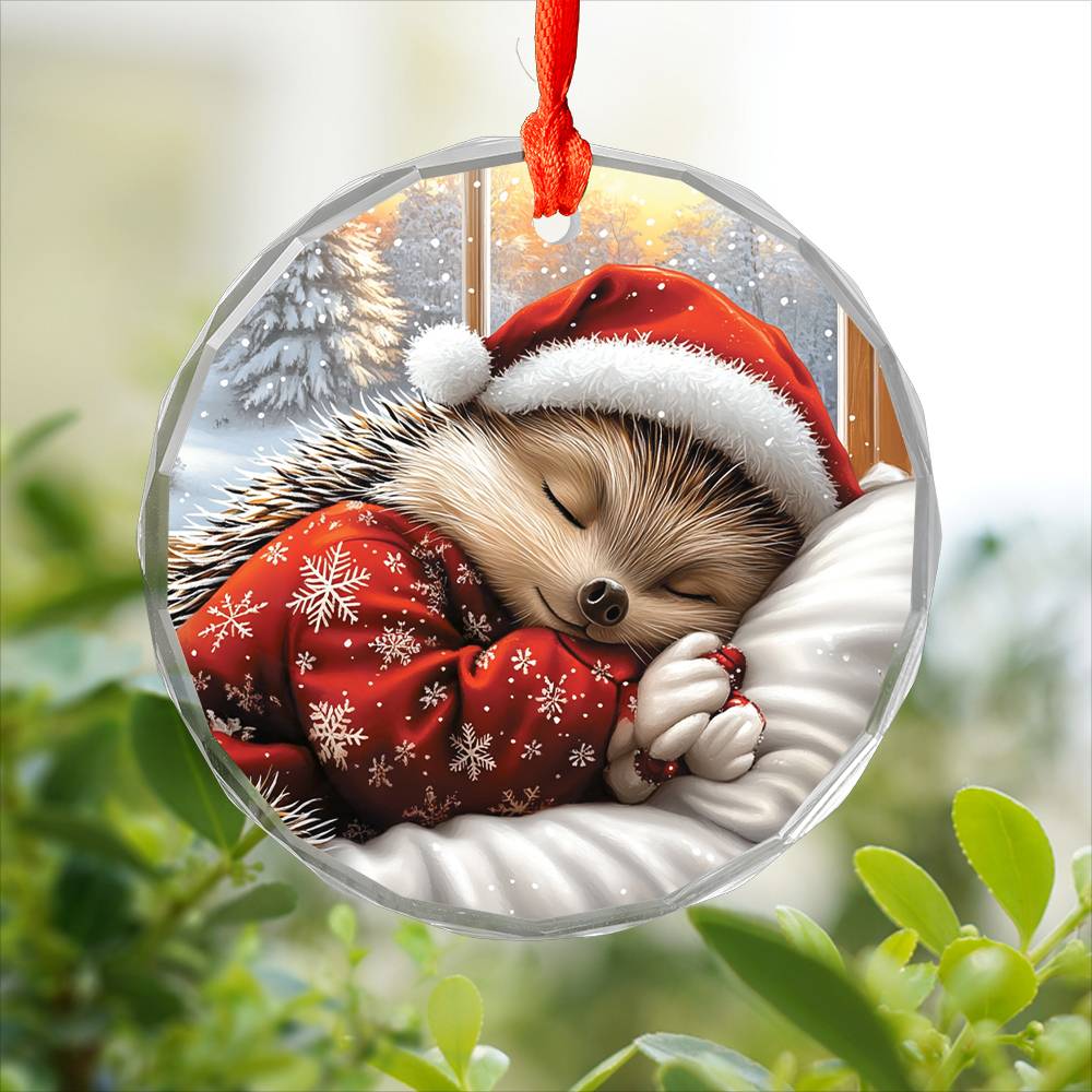 Hedgehog Sleeping In Bed Design 3