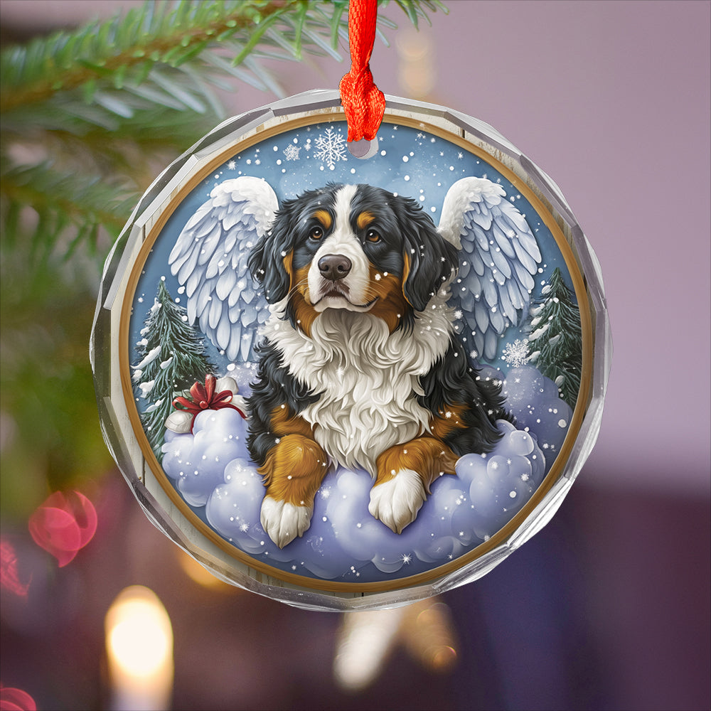Angel Bernese Mountain Dog 4
