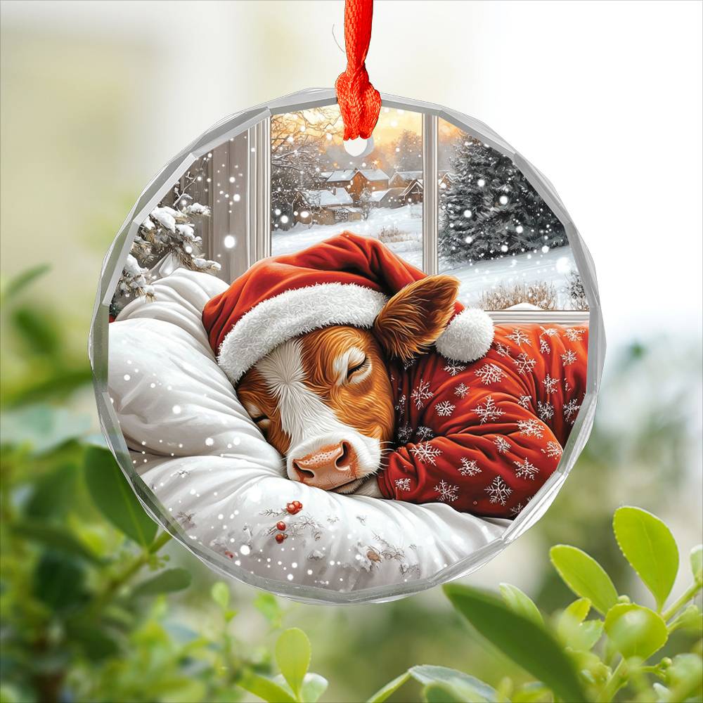 Angus Cow Sleeping In Bed Design 2