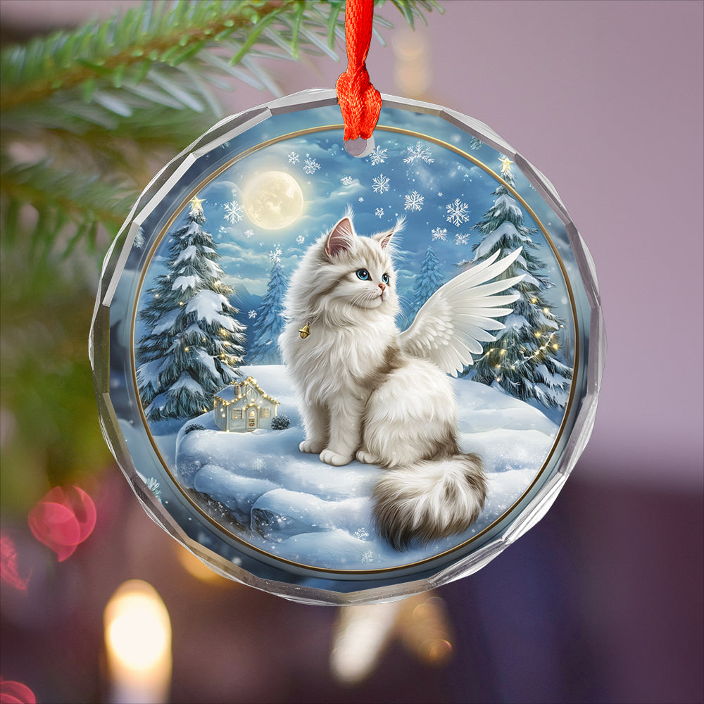 Angel Turkish Angora 4