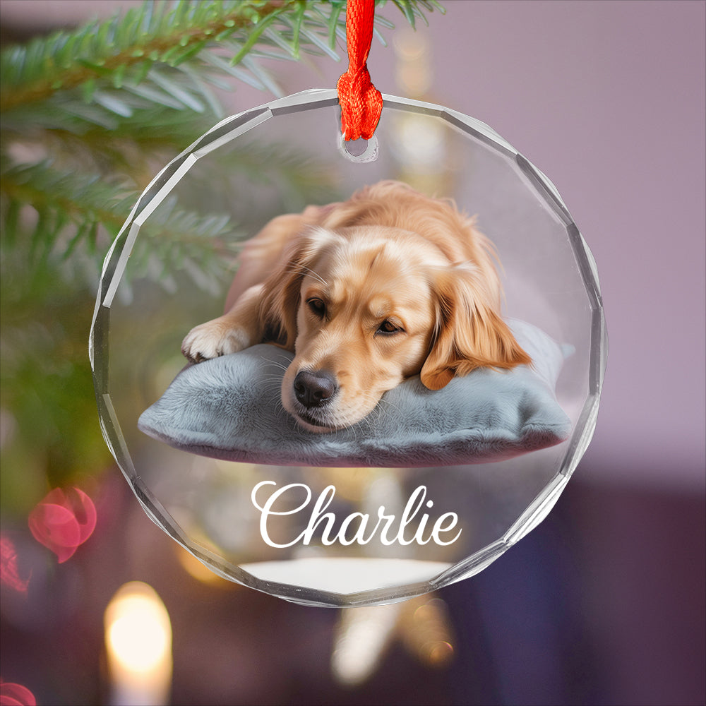 Custom Pet Name