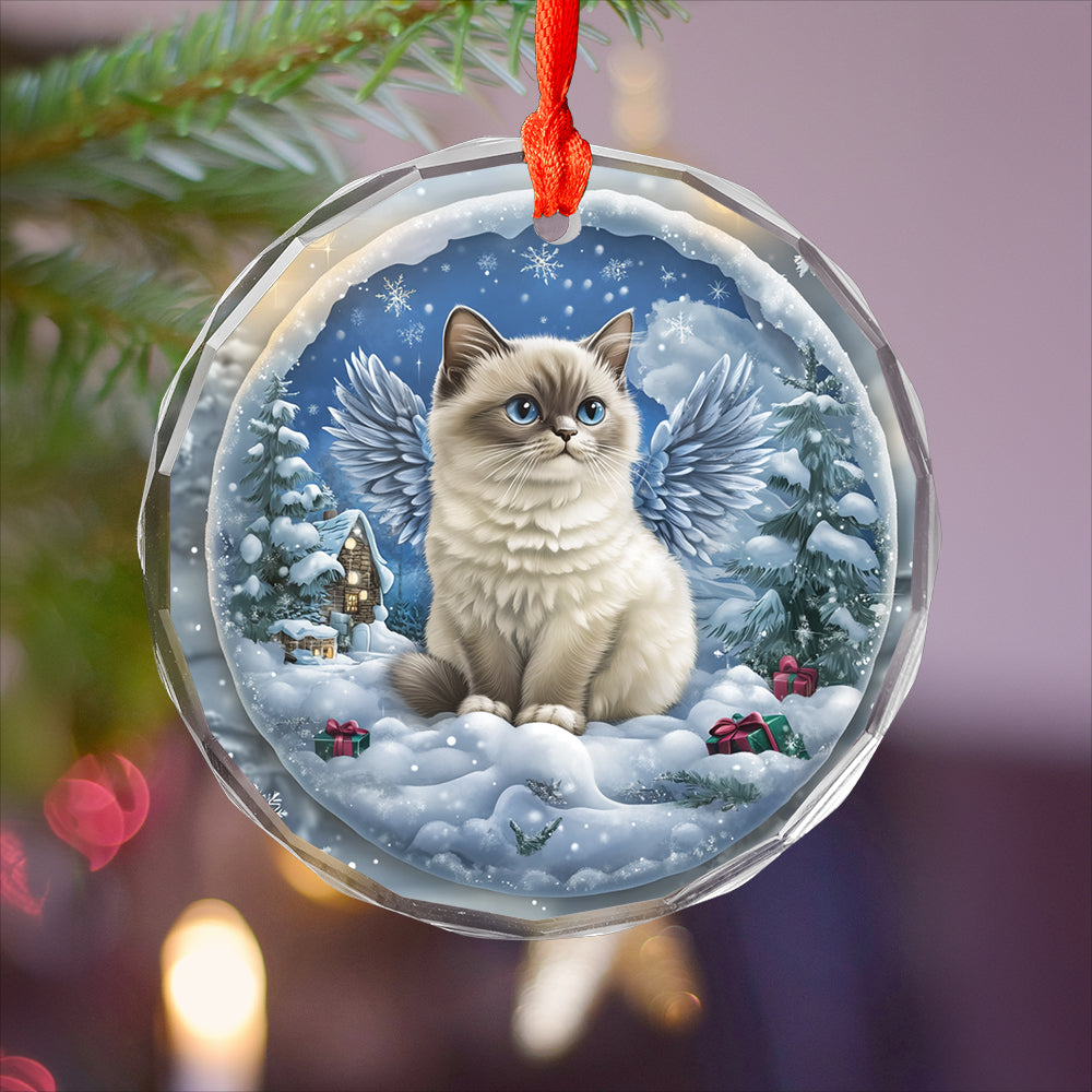 Angel Siamese Cat 2