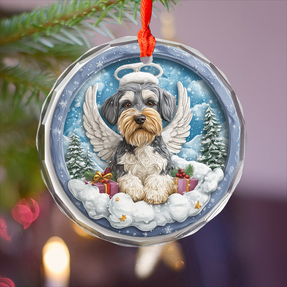 Angel Miniature Schnauzer Dog 3