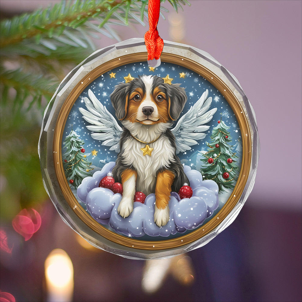 Angel Australian Shepherd Dog 3
