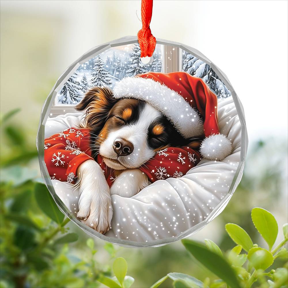 Border Collie Dog Sleeping In Bed Design 1