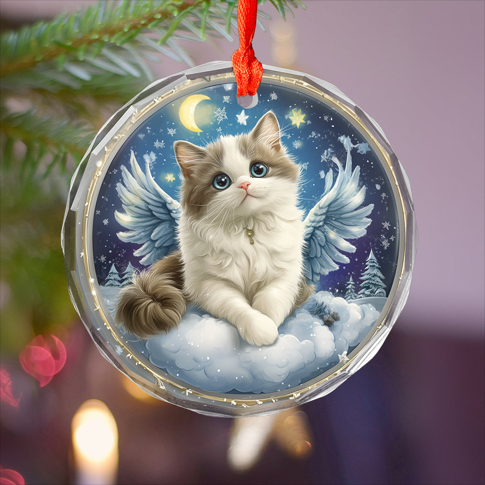 Angel Ragdoll Cat 1