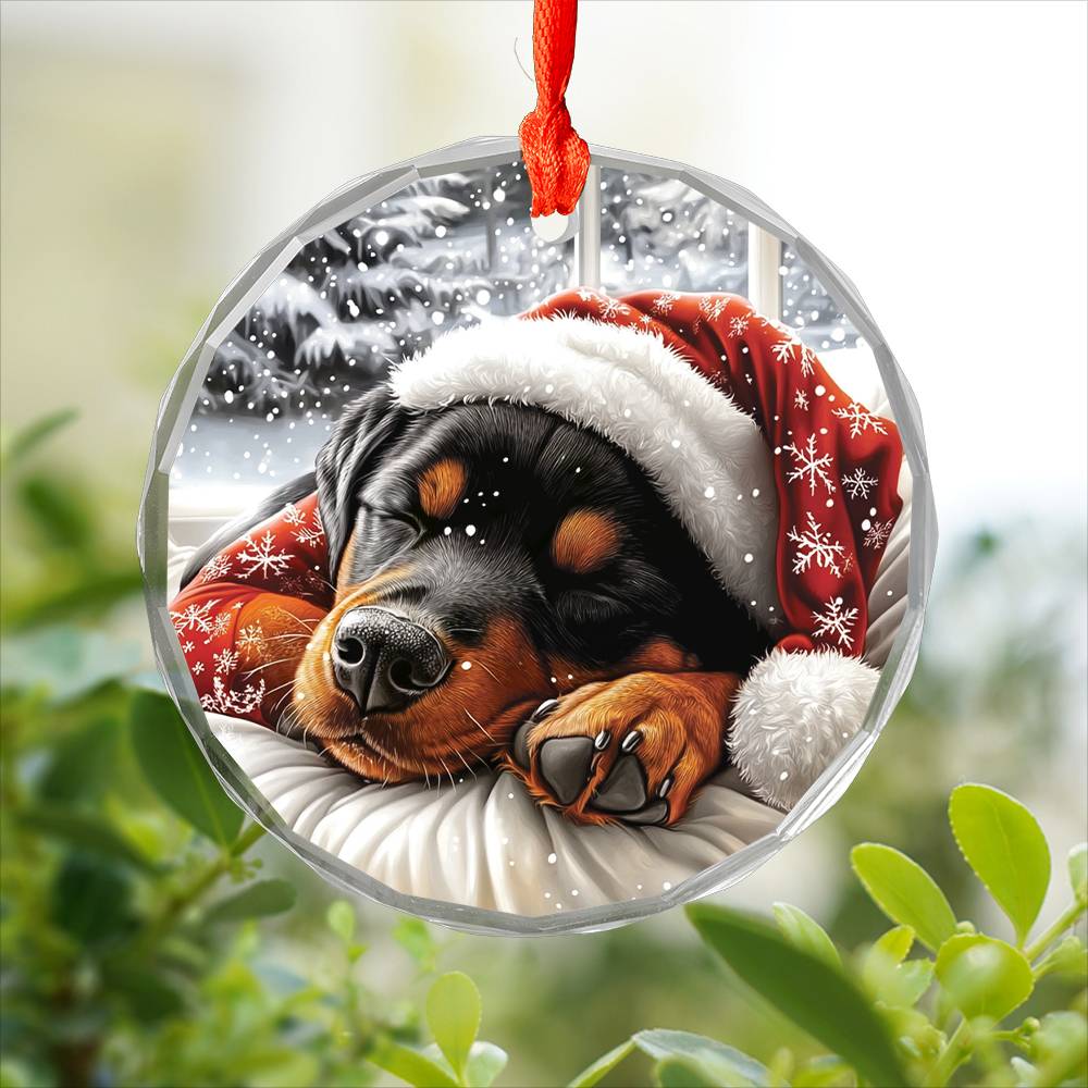Rottweiler Dog Sleeping In Bed Design 3
