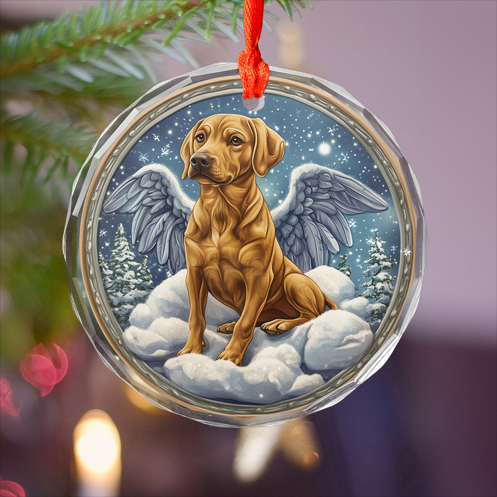Angel Rhodesian Ridgeback Dog 3