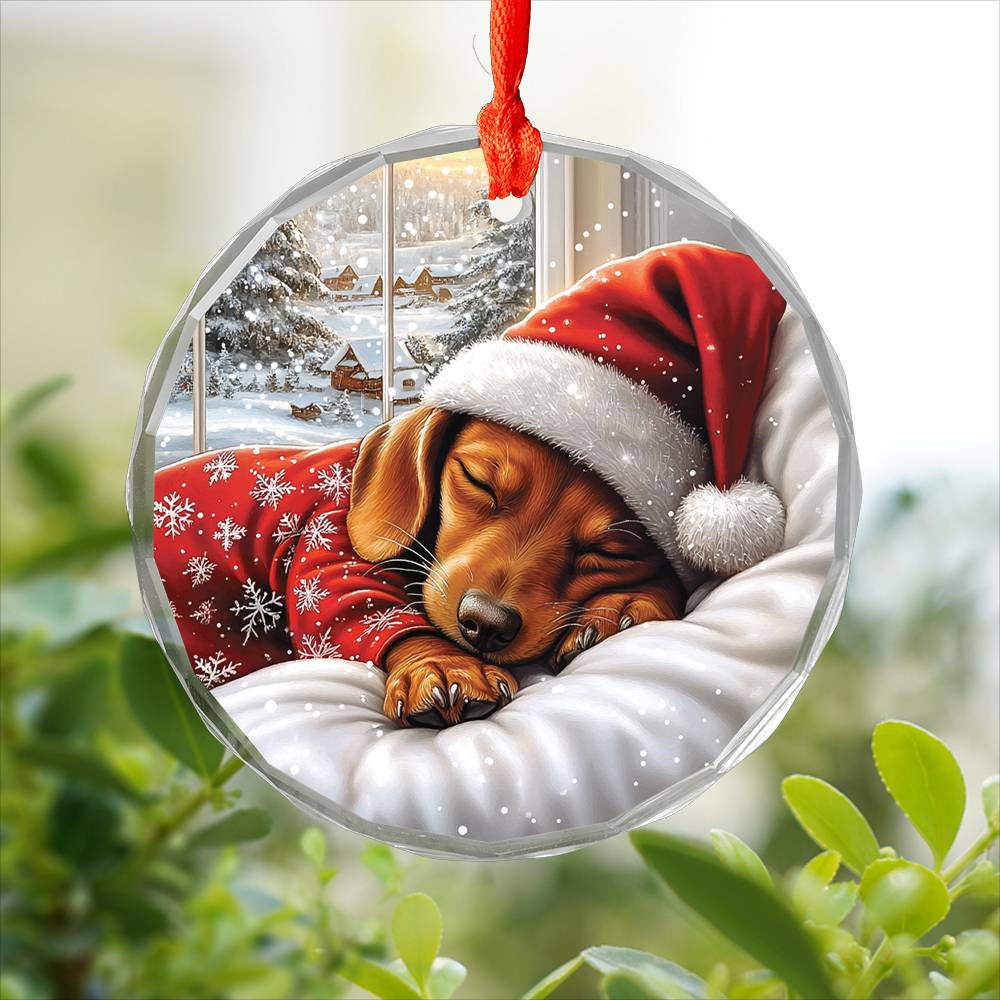 Dachshund Dog Sleeping In Bed Design 1