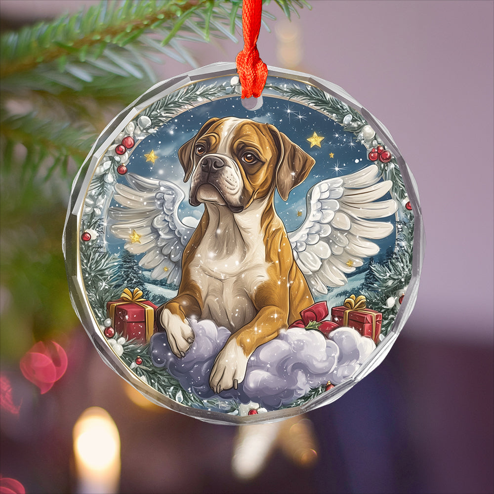 Angel Boxer Dog 1