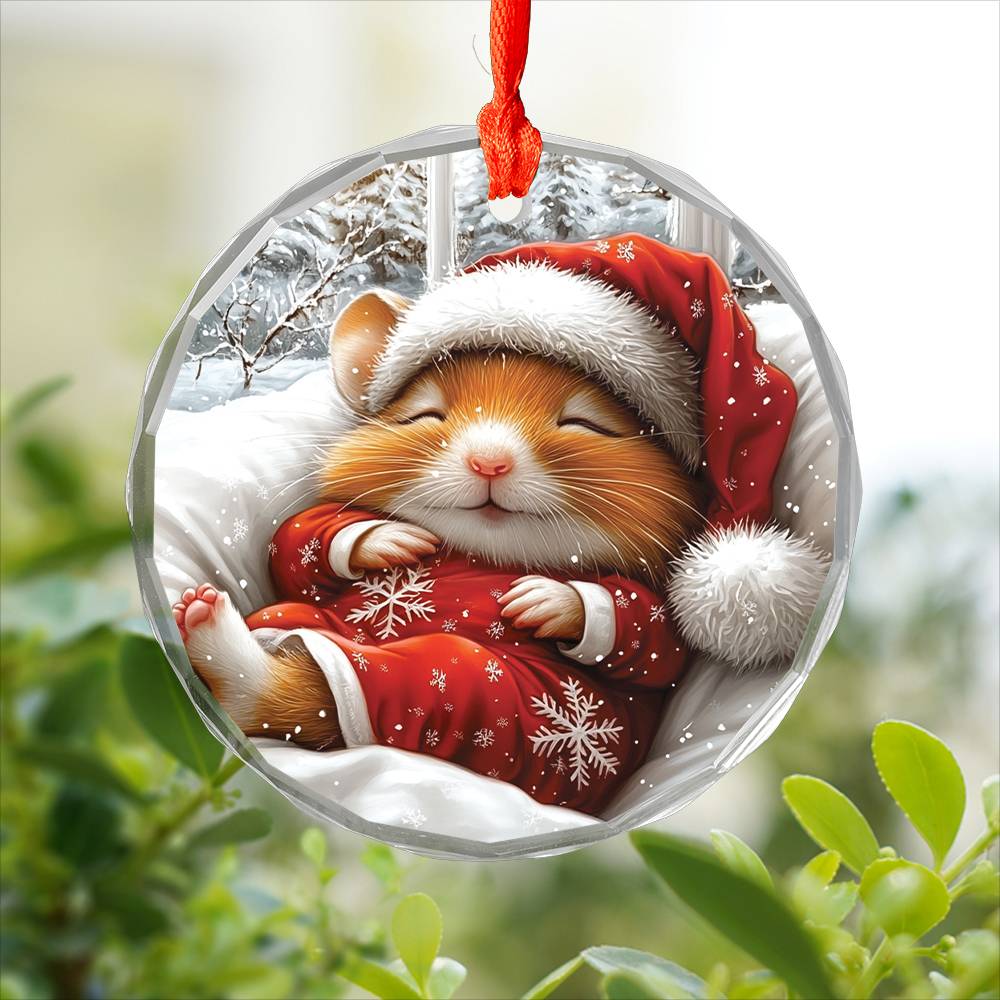 Hamster Sleeping In Bed Design 2