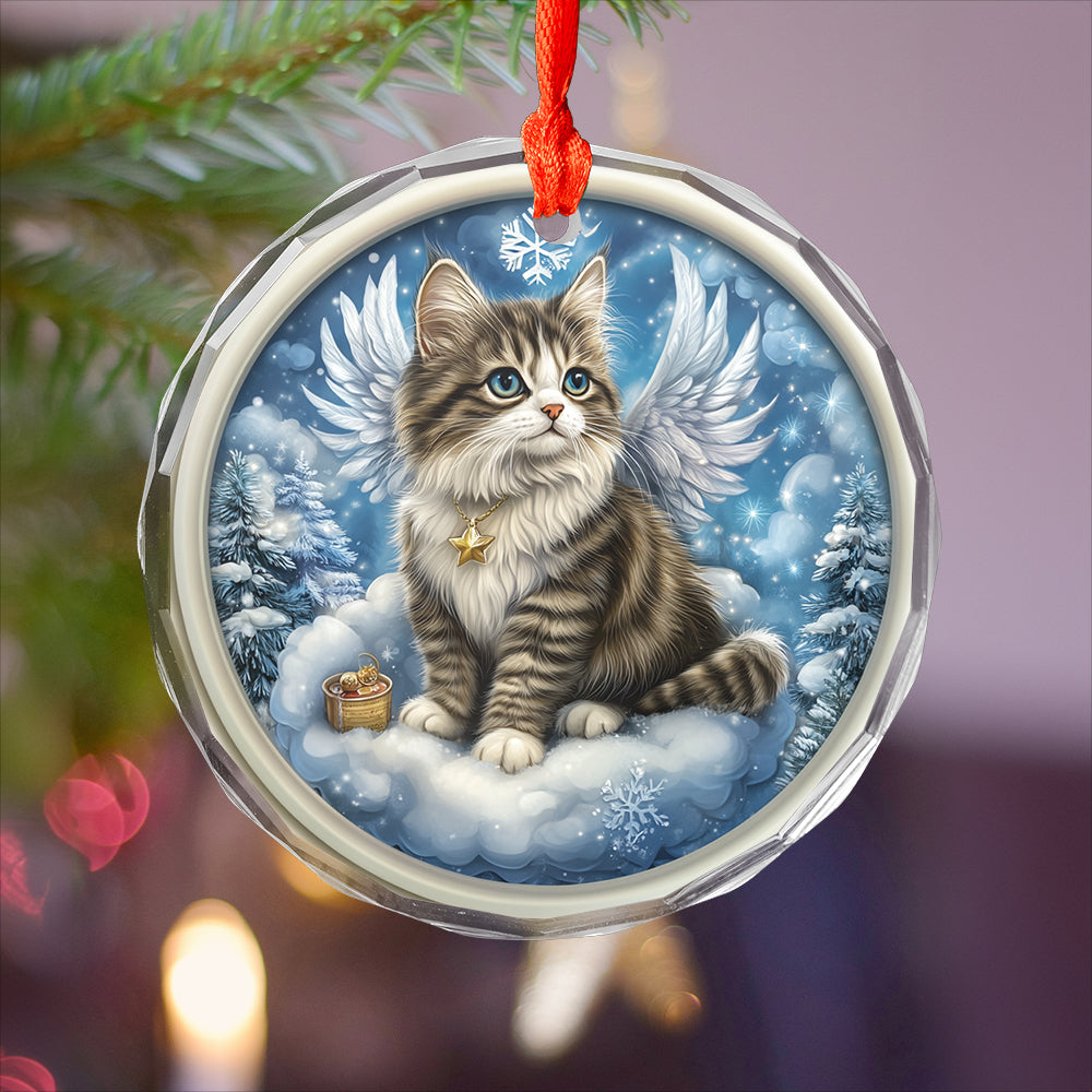 Angel Norwegian Forest Cat 1