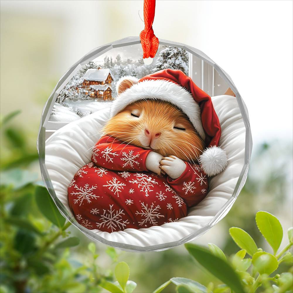Guinea Pig Sleeping In Bed Design 1