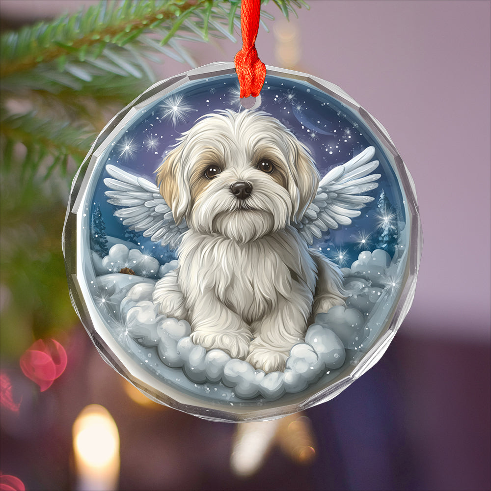 Angel Maltese Dog 4