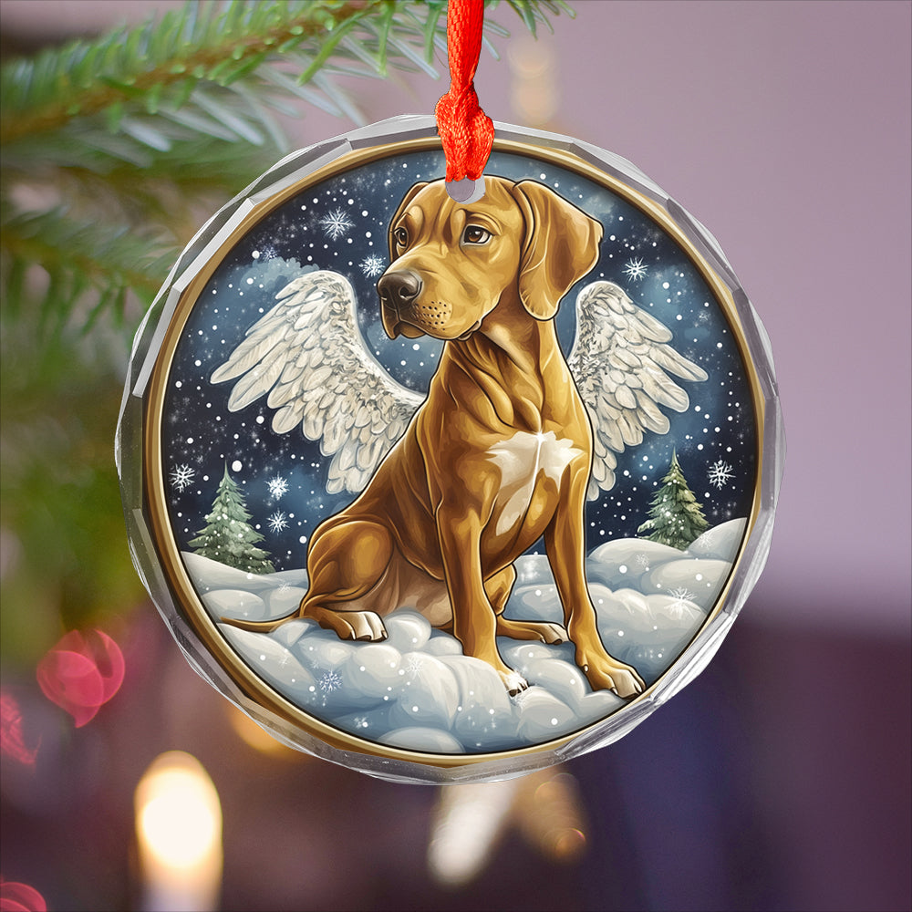 Angel Rhodesian Ridgeback Dog 2