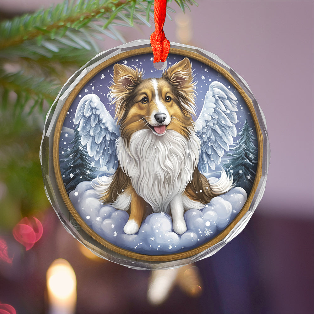 Angel Shetland Sheepdog 3